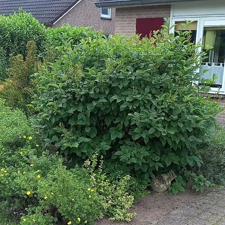 Lush Bungalow In Beek Gem Montferland With Bubble Bath Holiday home Beek Gem Montferland